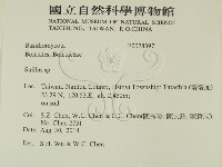 登錄號:F0028397藏品圖，第2張