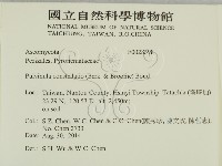 登錄號:F0028398藏品圖，第2張