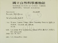 登錄號:F0028399藏品圖，第2張