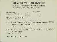 登錄號:F0028400藏品圖，第2張