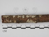 登錄號:F0028401藏品圖，第1張