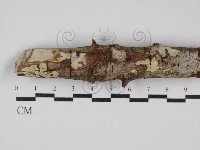登錄號:F0028404藏品圖，第1張