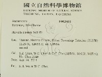 登錄號:F0028405藏品圖，第2張