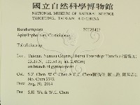 登錄號:F0028407藏品圖，第2張