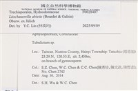 登錄號:F0028407藏品圖，第3張