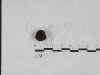 登錄號:F0028409藏品圖，第1張