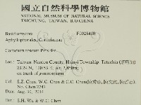 登錄號:F0028410藏品圖，第2張