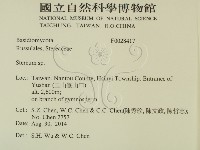 韌革菌屬藏品圖，第2張
