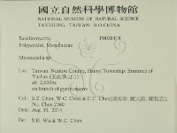登錄號:F0028418藏品圖，第2張