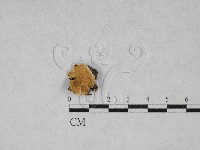 登錄號:F0028418藏品圖，第1張