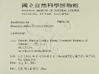 登錄號:F0028419藏品圖，第2張