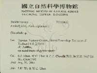 登錄號:F0028420藏品圖，第2張