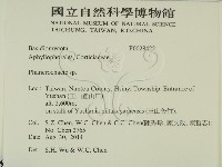 館號:F0028422藏品圖，第2張