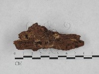 登錄號:F0028423藏品圖，第1張