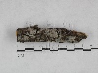 登錄號:F0028424藏品圖，第1張