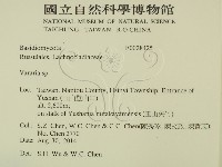 登錄號:F0028425藏品圖，第2張