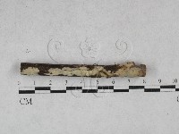 登錄號:F0028425藏品圖，第1張