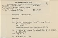 登錄號:F0028425藏品圖，第3張
