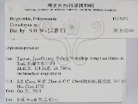 登錄號:F0028427藏品圖，第2張