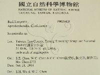 銳岩菌屬藏品圖，第2張