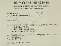 登錄號:F0028429藏品圖，第2張