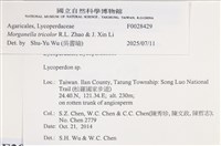 登錄號:F0028429藏品圖，第3張