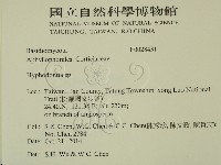 登錄號:F0028431藏品圖，第2張