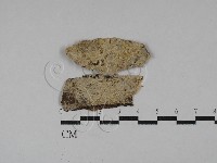 登錄號:F0028431藏品圖，第1張