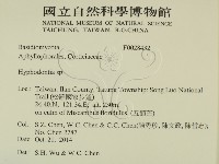 絲齒菌屬藏品圖，第2張