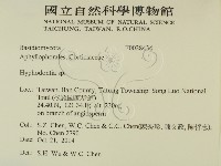 絲齒菌屬藏品圖，第2張