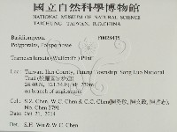 登錄號:F0028435藏品圖，第2張