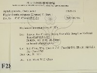 登錄號:F0028436藏品圖，第2張