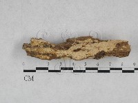 登錄號:F0028436藏品圖，第1張