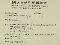 齒耳菌屬藏品圖，第2張