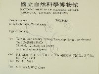 絲齒菌屬藏品圖，第2張