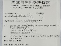 登錄號:F0028440藏品圖，第2張