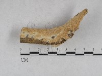 登錄號:F0028440藏品圖，第1張