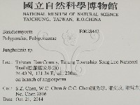 容氏菌屬藏品圖，第2張
