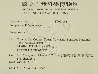 多孔菌屬藏品圖，第2張