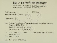 絲皮菌屬藏品圖，第2張