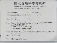 登錄號:F0028445藏品圖，第2張