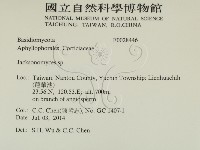 傑克菌屬藏品圖，第2張