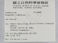 登錄號:F0028448藏品圖，第2張