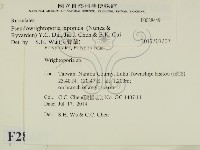 登錄號:F0028449藏品圖，第2張