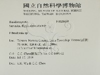登錄號:F0028450藏品圖，第2張