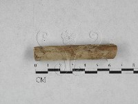 登錄號:F0028450藏品圖，第1張