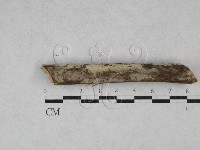 登錄號:F0028451藏品圖，第1張