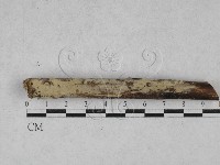 登錄號:F0028451藏品圖，第3張