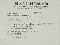 登錄號:F0028452藏品圖，第2張