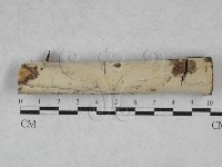 登錄號:F0028452藏品圖，第1張